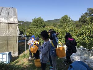 145DB239-A7B8-4630-BAC8-661001F23F55