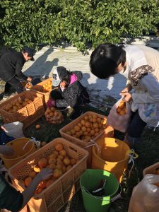 29B31B67-3B4E-44FA-B360-06AB58E6AB90