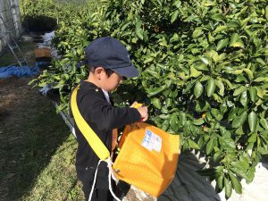 2E52F495-E5E3-42B4-9939-279BEA52F168