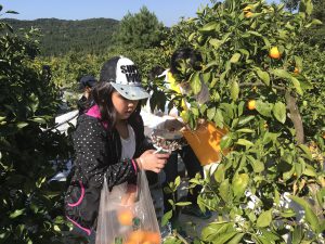 313453A6-E8EC-4427-AA07-8441FD966967