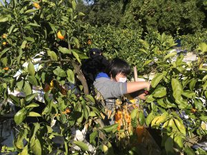 69F9AE03-2357-4804-B07D-2E746D5C9E1D