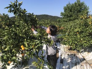 7C24F23E-FCD4-48C2-9738-F2B49FDF746E