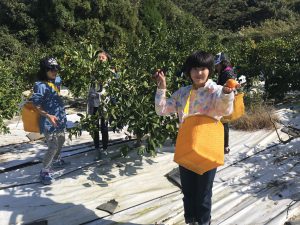 89748602-5B45-45CC-86B1-DDD524610385