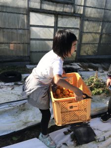 C99ECD6C-D6BF-4911-A8C5-760DC3F9252A