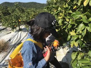 F33498B3-9201-48D4-8D27-323FCC5E1D2E