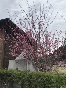 04624333-6325-4138-BE53-347A1BE7C079