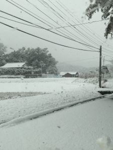 0BD667DC-411F-42A2-91A7-C42E7B99FF57