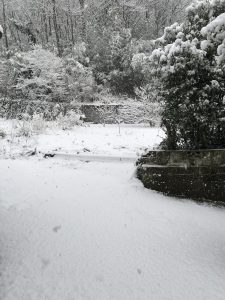 45786C37-F942-43B0-BE11-94045C4051A3