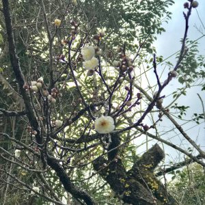 51F45116-044B-4474-B01B-CC11213D96BB