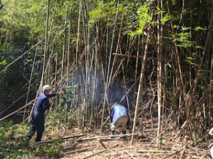 5696B34B-6782-4363-9BA6-041EFBB5BEC5