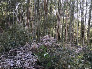 59B13070-79D9-4D3A-B182-B32B35845B46