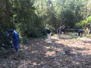 6EE01D99-A5B4-465E-B469-895417FBF978