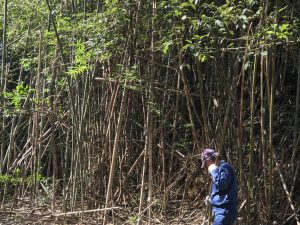 B0C55016-D455-4B65-A3CF-2A26479AA874