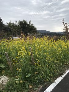 CA6F7359-CC97-45F0-A93D-53A7D2E4FDC7