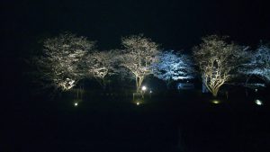 CEC32056-6B19-4DEA-ABBB-707B75E942A2