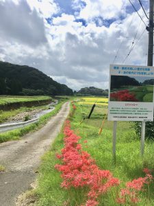 39271054-777D-4FA6-8B70-883BAFB8800B