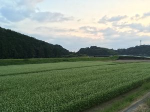 58BC721A-A7D2-4966-A10D-9407EB1DACBC