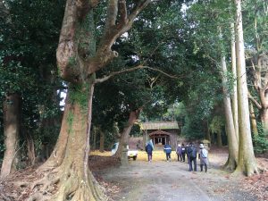 9E1B0C1C-68D7-48FB-972F-0699DFE9D3E2