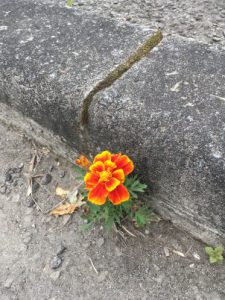 5407CE2E-7BCE-49B5-8397-C8FB9078C680