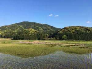 0551CC4A-2701-4C7C-A098-7D7576B2AF69