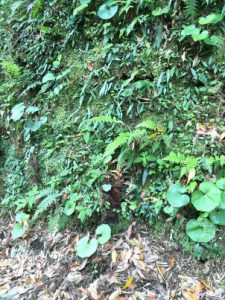 BD9704CD-077F-45B1-8FE1-A957E42058CD