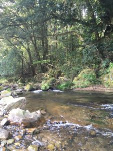 C62C6139-2C8B-4D0C-830C-17F834566238