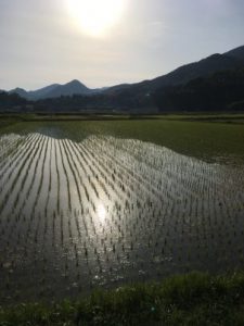 F0C85D9C-760D-47A2-BDD6-0FD744FE7B62