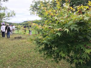 95C1BB17-3CA2-4FBA-8DE3-780496753D20