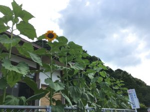 7404E440-0C87-47B7-8F43-7743211B3971