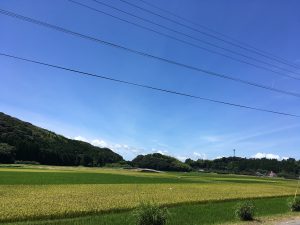 A99F152E-FACB-464F-B9E6-2C189F1E9D6B