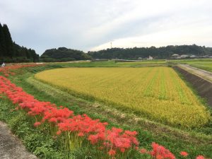 463C6993-9323-4CCC-8DCA-8FAF4552CF1E