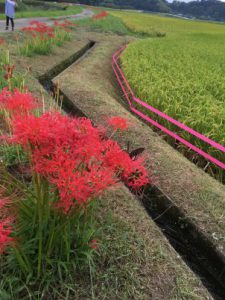 69531793-F7B7-40A7-981A-05BC06BFE020