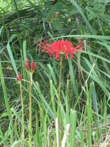 D844D8DE-5A87-4B73-8A52-889D5EDA7700