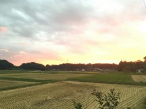 5BE999DF-24BF-48B9-87C4-CE30C73BDFB2