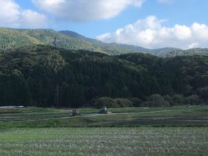 23F8C892-5205-40AE-B59B-BFE0346B826B