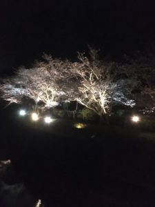 37B65ED0-B4E8-4398-8583-CFEE7FAA7608