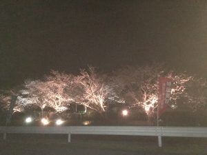 6D12132F-C923-4D5A-A698-A442495B0D80