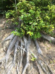 38698645-C17B-4854-BD8A-68F7B16C8871