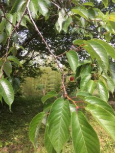 6B1AD733-9237-4120-8EBA-3103C7C3CDA3