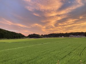 AD509F18-CC3A-40DC-95CB-240B716ACE21