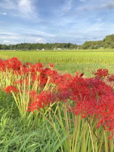 44691494-3D16-4088-A065-C98DA5985369