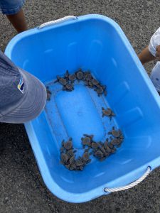 4F04C261-8B3E-4C9A-B1D9-64FB6CD52093