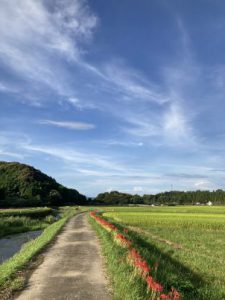 52CDBFB5-98EE-4F72-978C-25F195196864