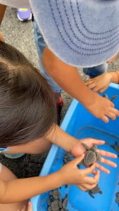 BE6DDD0A-21C8-4ACA-9611-32A243E07A9D