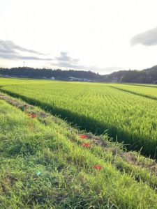 C7CC1B2E-3E58-4A62-A8C7-5A1B3F3367EC