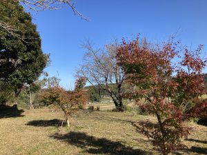 35FEAABA-8414-43EC-8DCF-A467DE28BD48