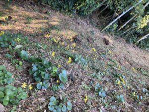 90A0F80D-1A95-4099-B9BF-9BD3B25B9D94