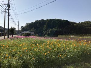 B7FC5BEC-C8CD-49FB-A78C-F3B9BA3812F9