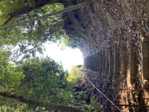 DF69E012-4F36-43F6-9F23-180407846993