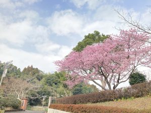 1447793C-AAF6-4B56-816B-BCAF29D271FC